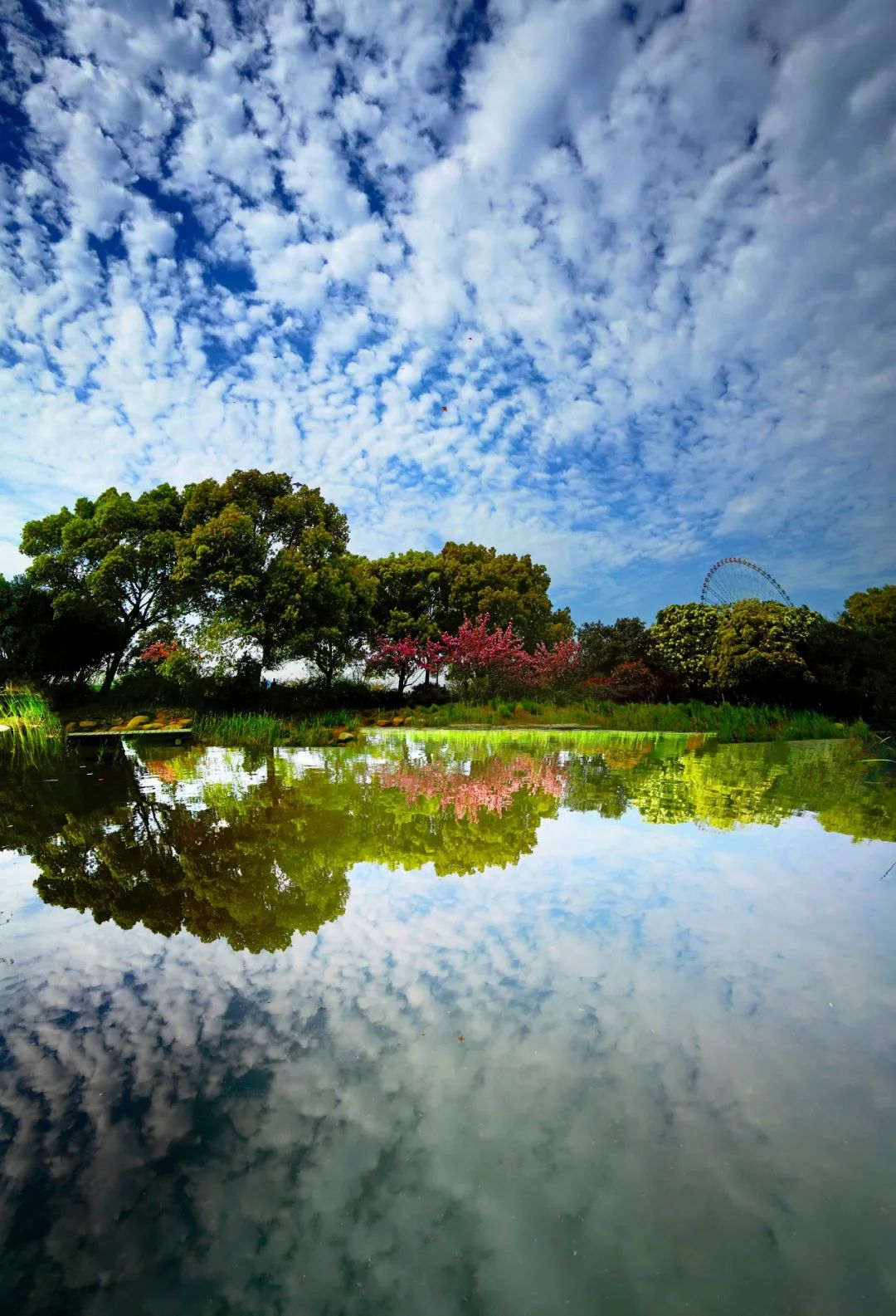 05450b9c59b680d86f532c7f4e3491583f38ef24.png