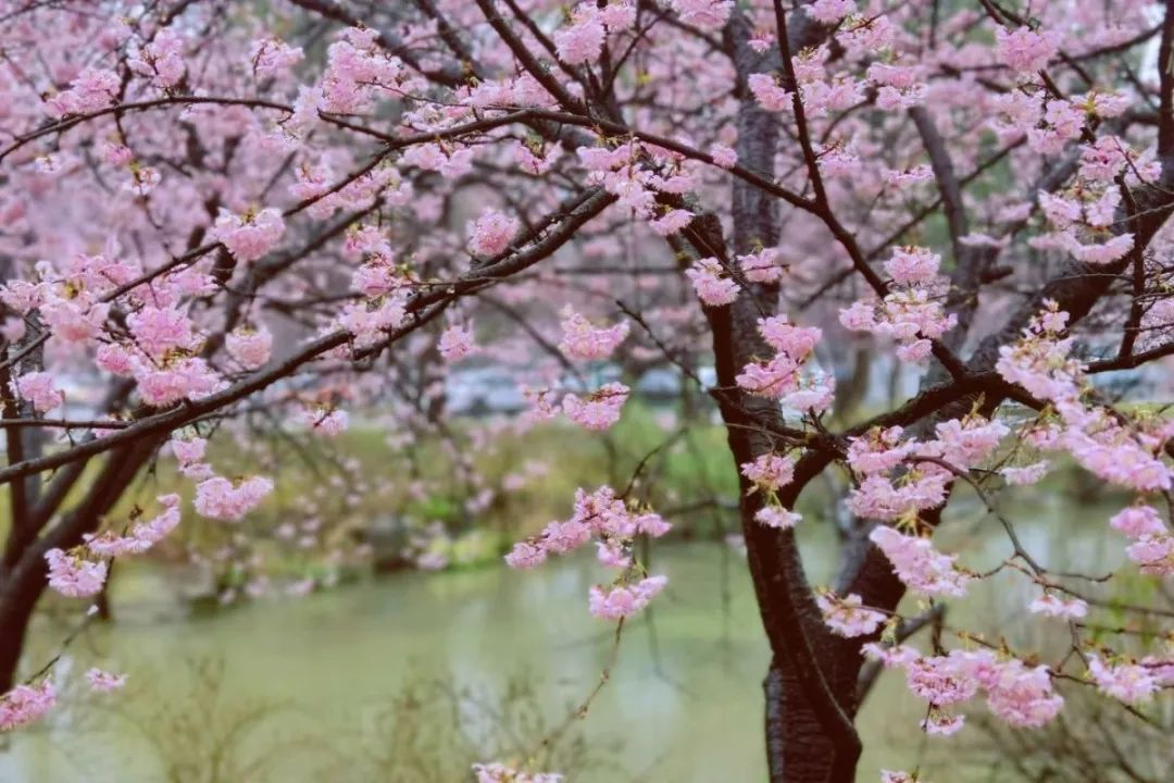 2f96d492ff0f04df87a9925b01b0f9b5d9d845c1.png