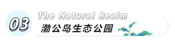 541ad2a8f33ac879a573f29653534e29c1b9d566.png